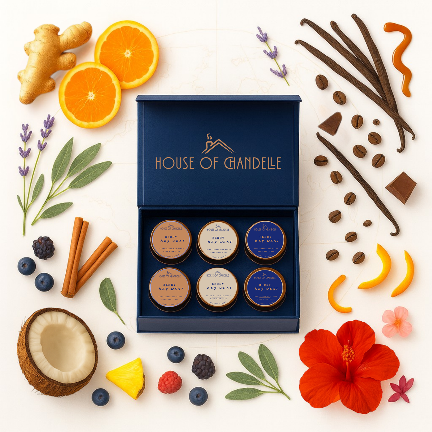 Discovery Boxes – Coming Soon