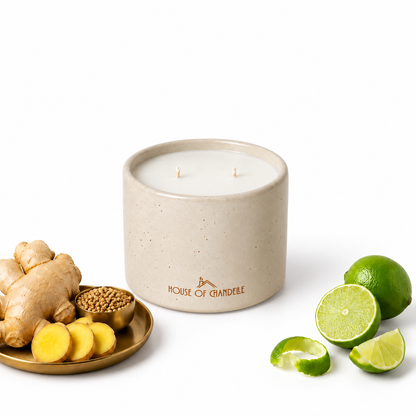 Ginger Zing Elixir Dune Chandelle scented candle 350g – House of Chandelle